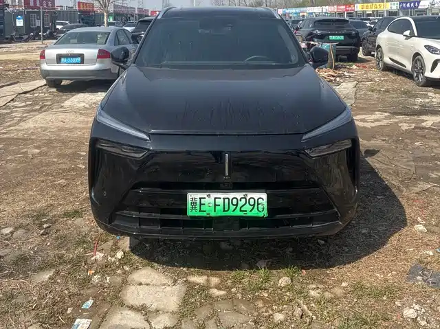 WEI PAI WEI BRAND BLUE MOUNTAIN 2024