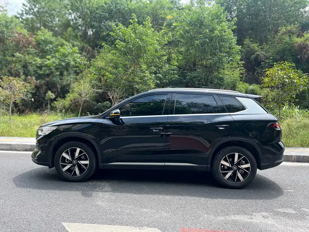 BYD Pro New Energy - фото 2