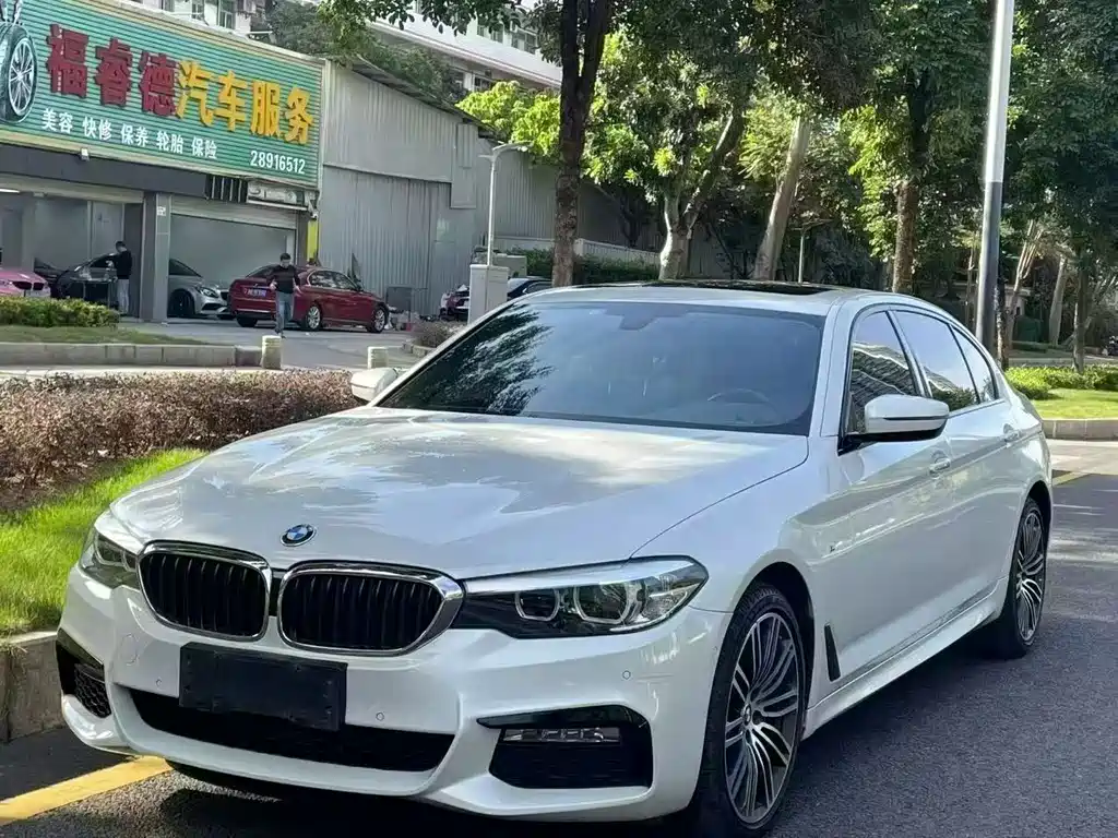 BMW 5 Series 2019