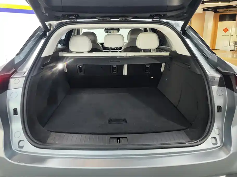 ASTRAL PATH YAOGUANG C DM