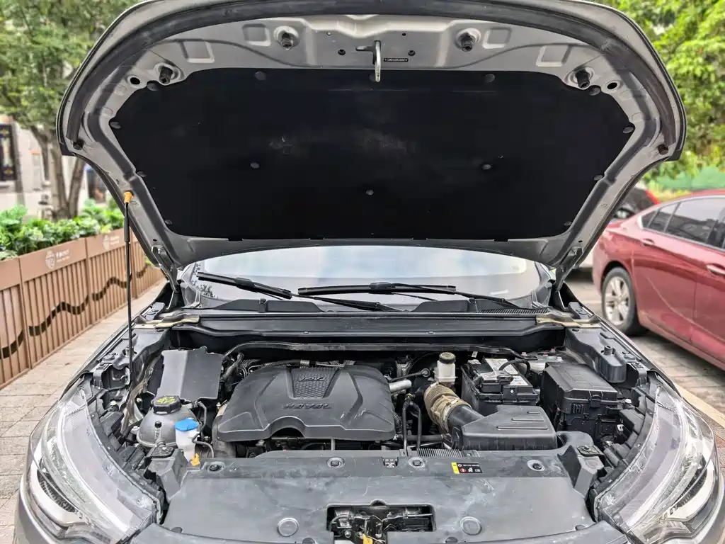 Haval Chitu — миниатюра 16