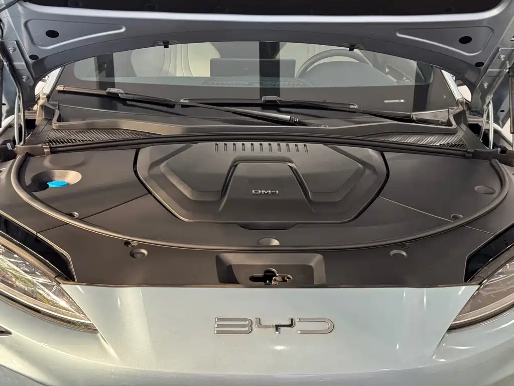 BYD PLUS New Energy — миниатюра 4