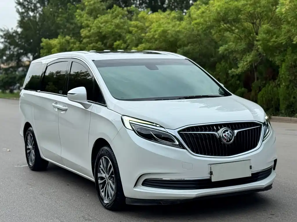 Buick GL8 — миниатюра 3