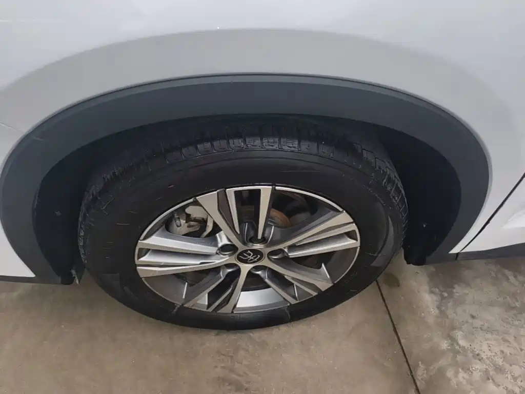 BYD Pro — миниатюра 23