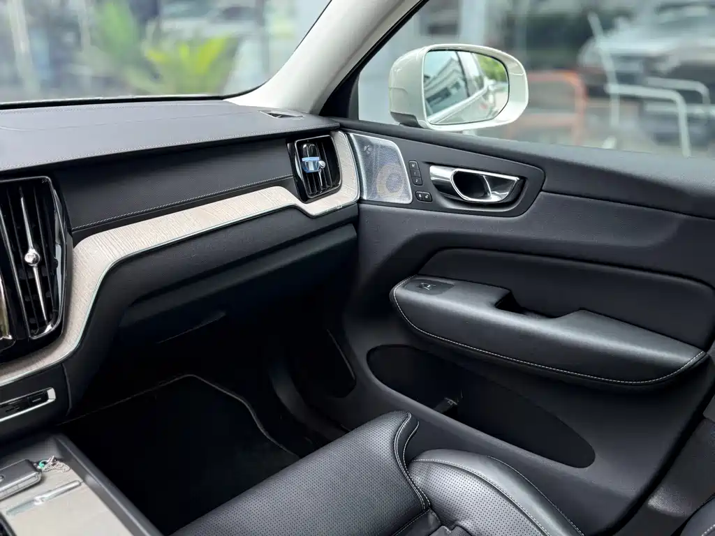 Volvo XC60 2019 T8 E Luxury VI