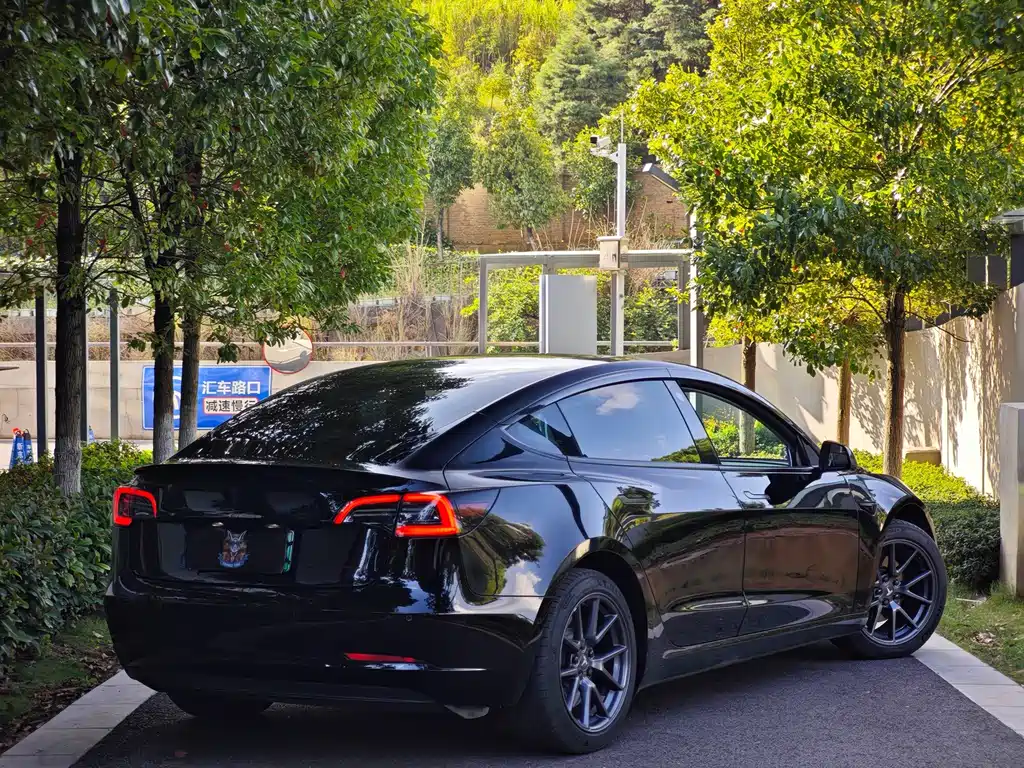 Tesla Model 3 — миниатюра 4