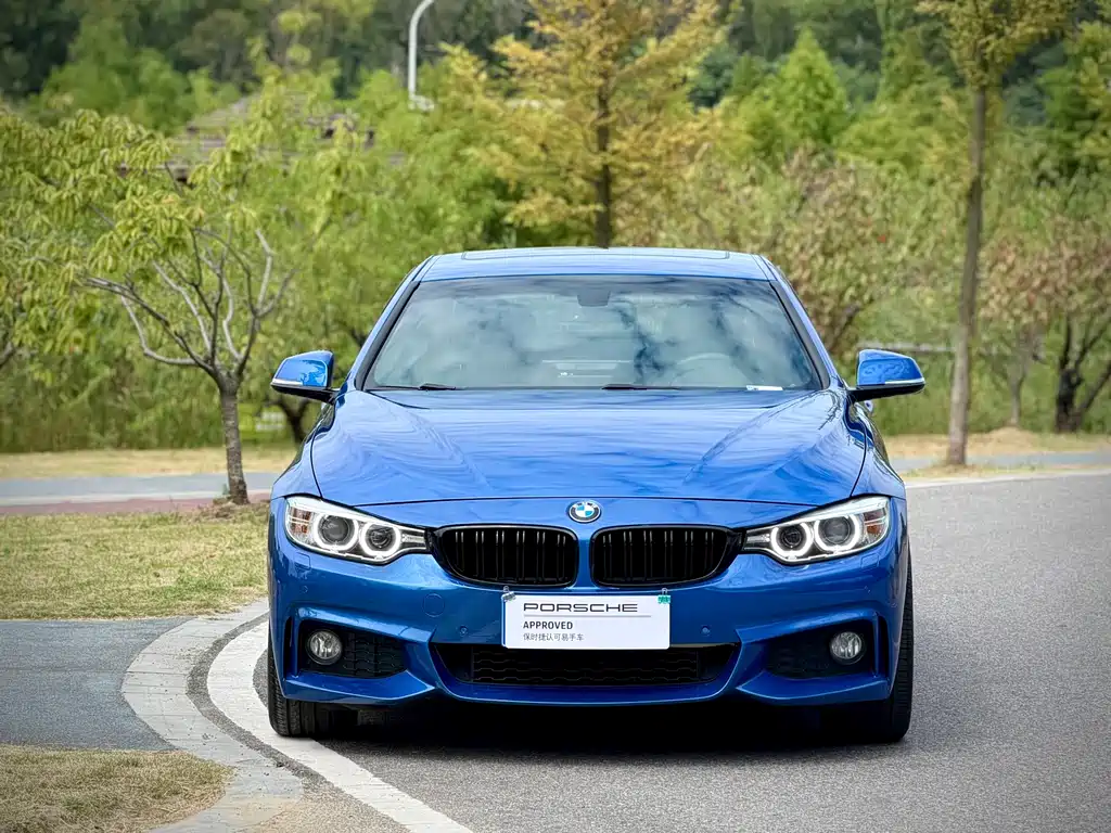 BMW 4 Series — миниатюра 2