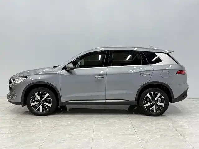 BYD Pro New Energy — миниатюра 2