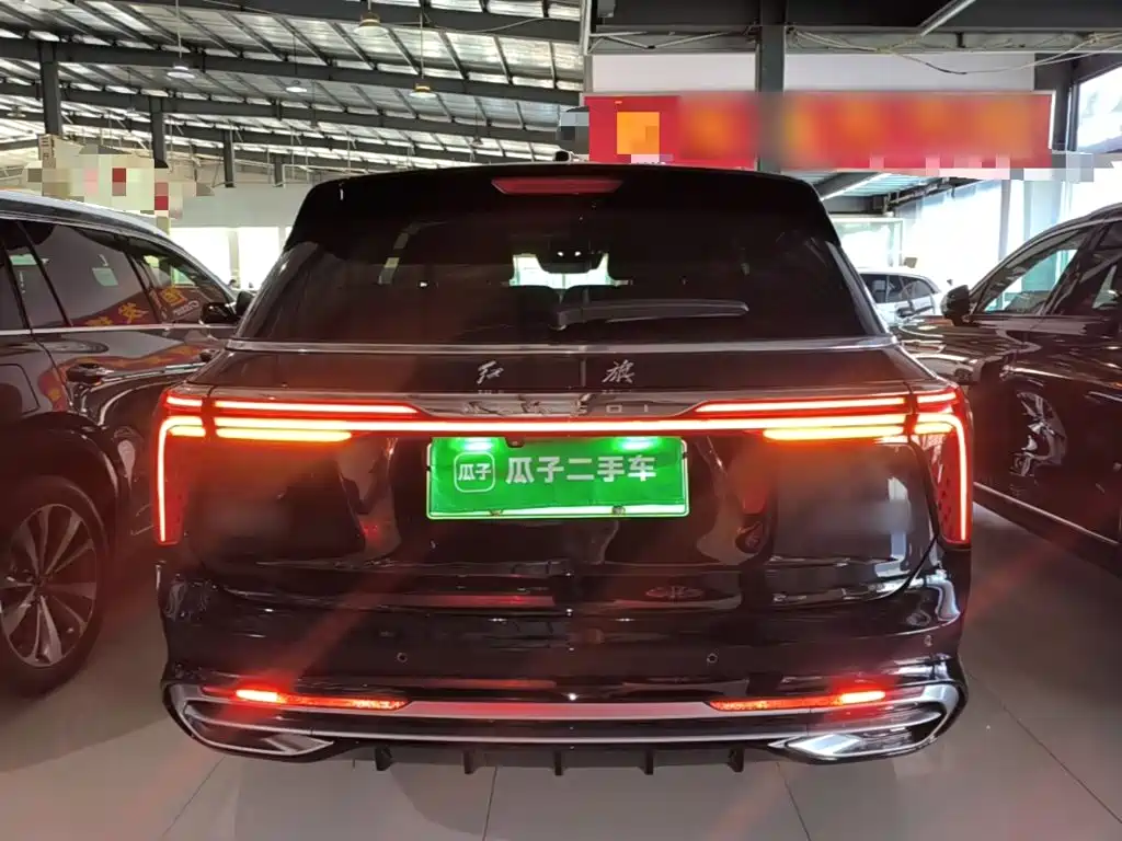 Hongqi Hongqi E-HS9 — миниатюра 6