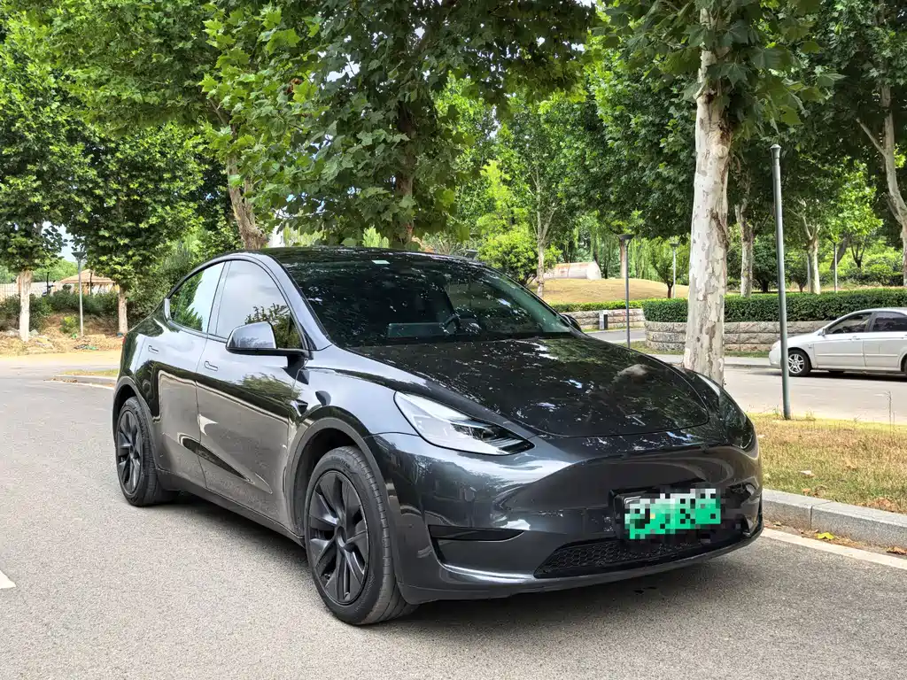 Tesla Model Y — миниатюра 3