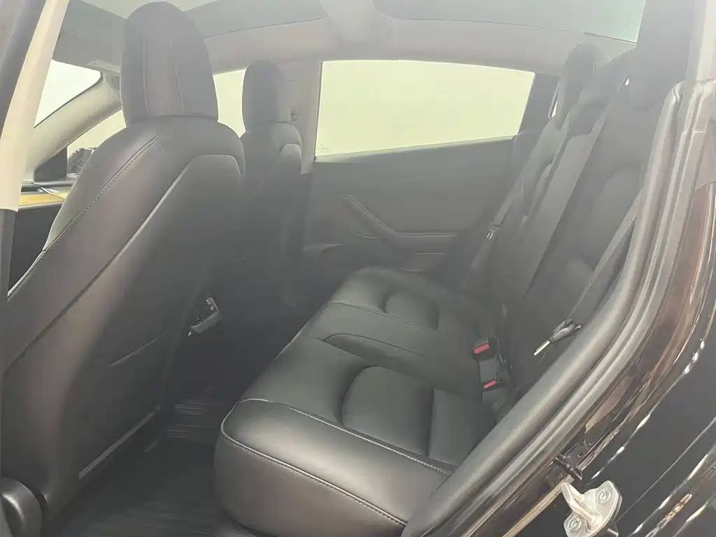 Tesla Model 3 — миниатюра 6