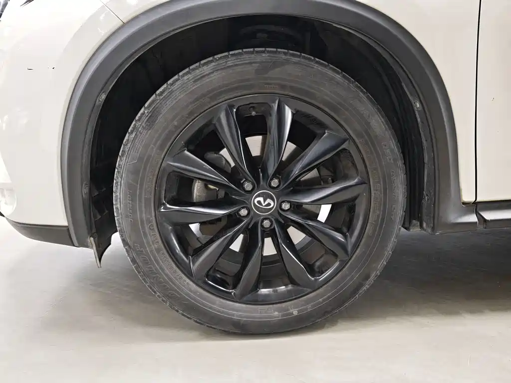 Infiniti QX50 2.0T 2WD Fashion Edition, фото 13