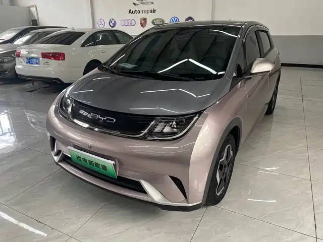 2022 BYD Dolphin