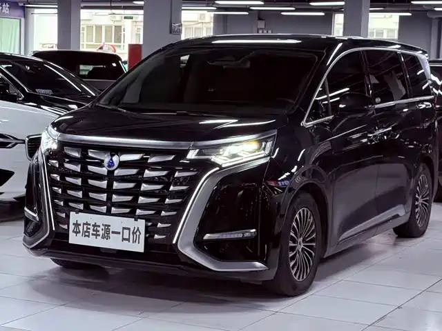 2024 Denza D9