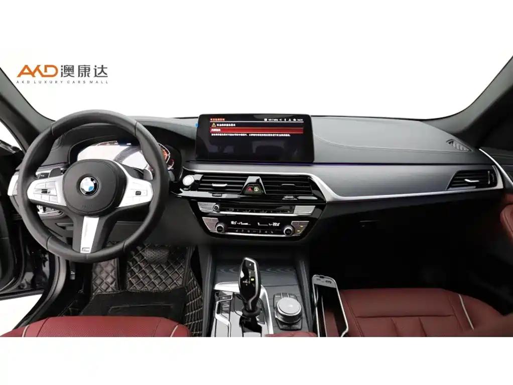 BMW 5 Series — миниатюра 5