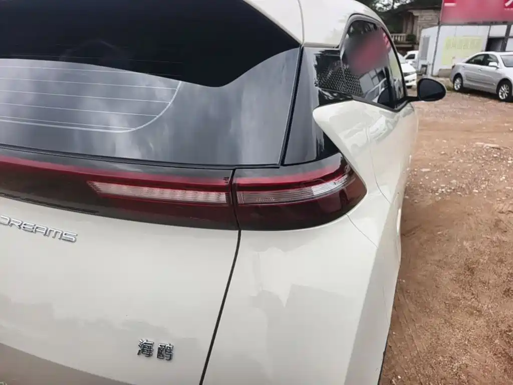 BYD Seagull 2023 Flying