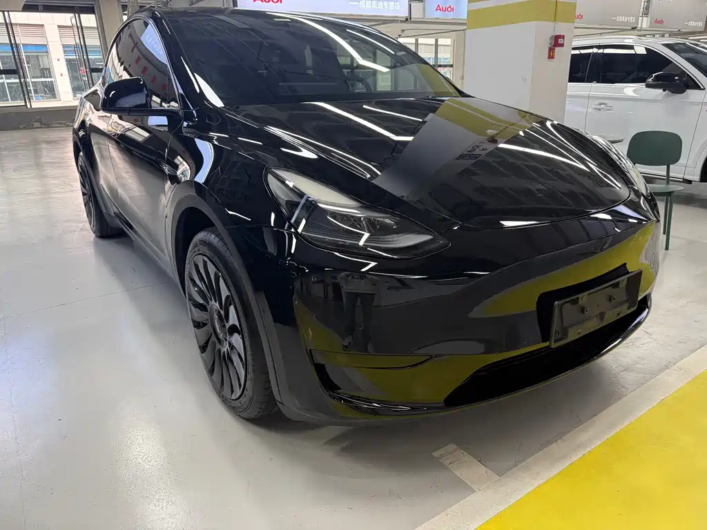 Tesla Model Y — миниатюра 3