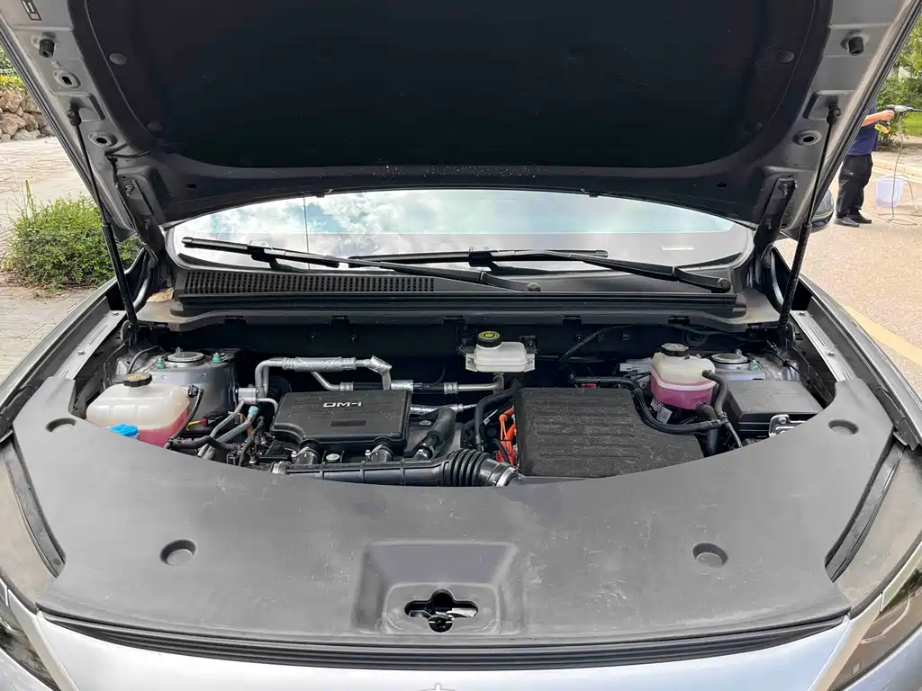 BYD Pro New Energy — миниатюра 26