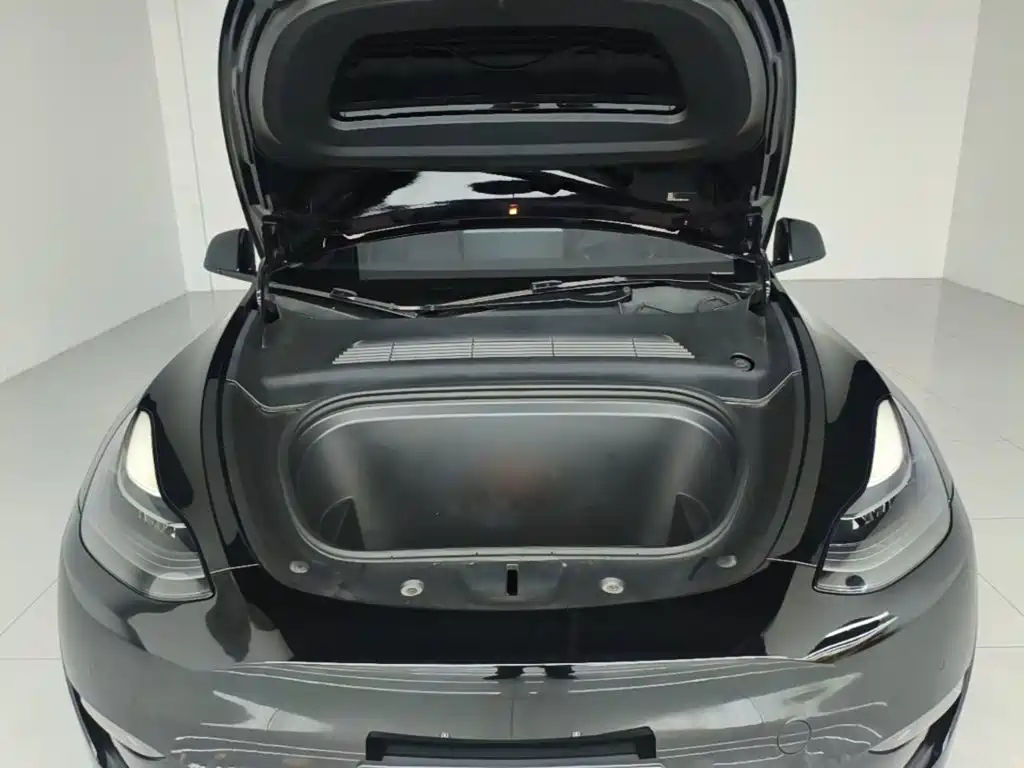 Tesla Model Y — миниатюра 20