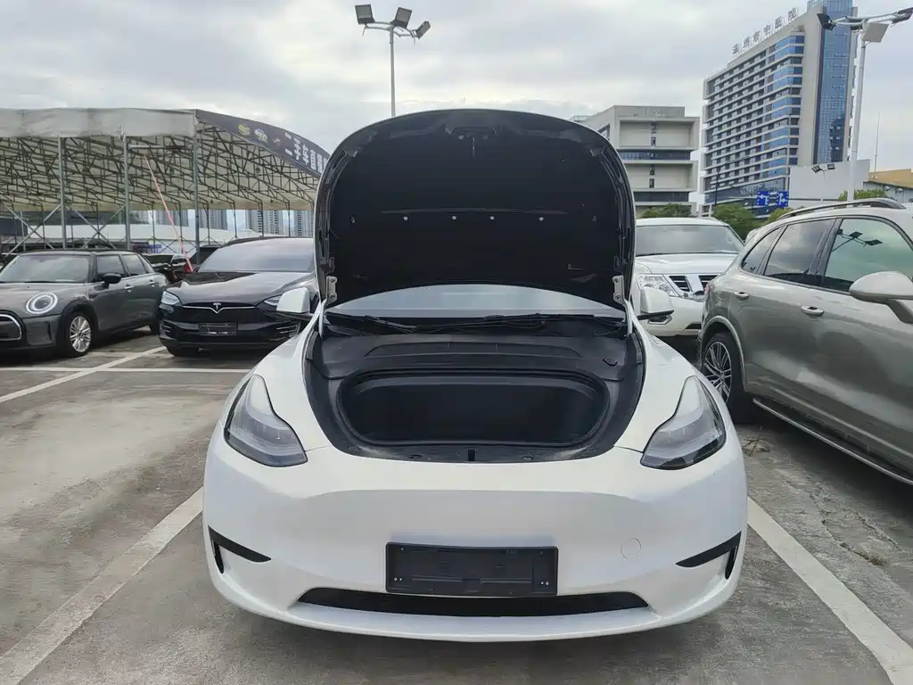 Tesla Model Y — миниатюра 16