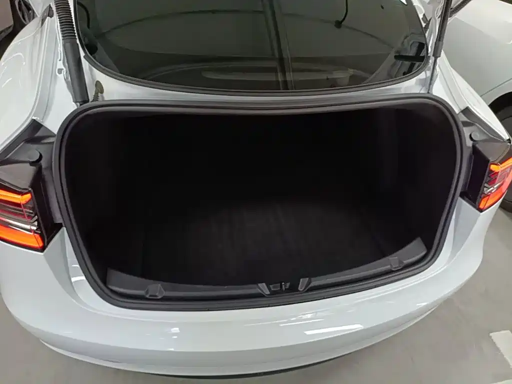 Tesla Model 3 — миниатюра 19
