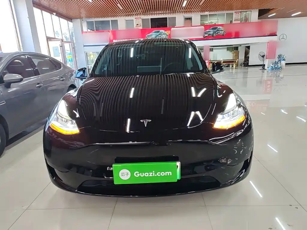 Tesla Model Y — миниатюра 3