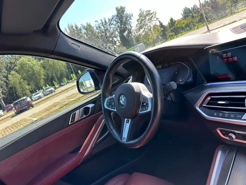 BMW X6 — миниатюра 20
