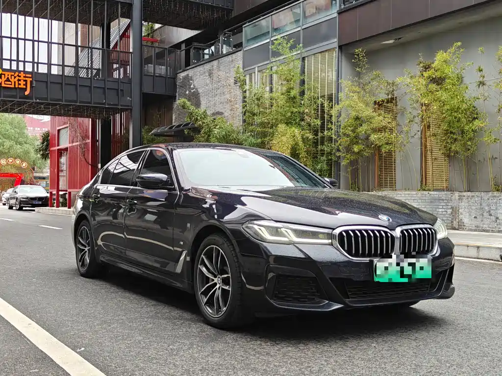 BMW 5 Series New Energy — миниатюра 2