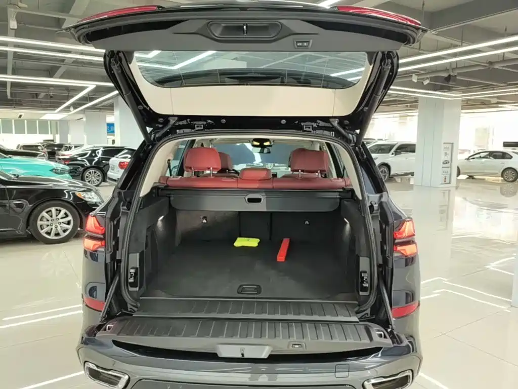 BMW X5 — миниатюра 19