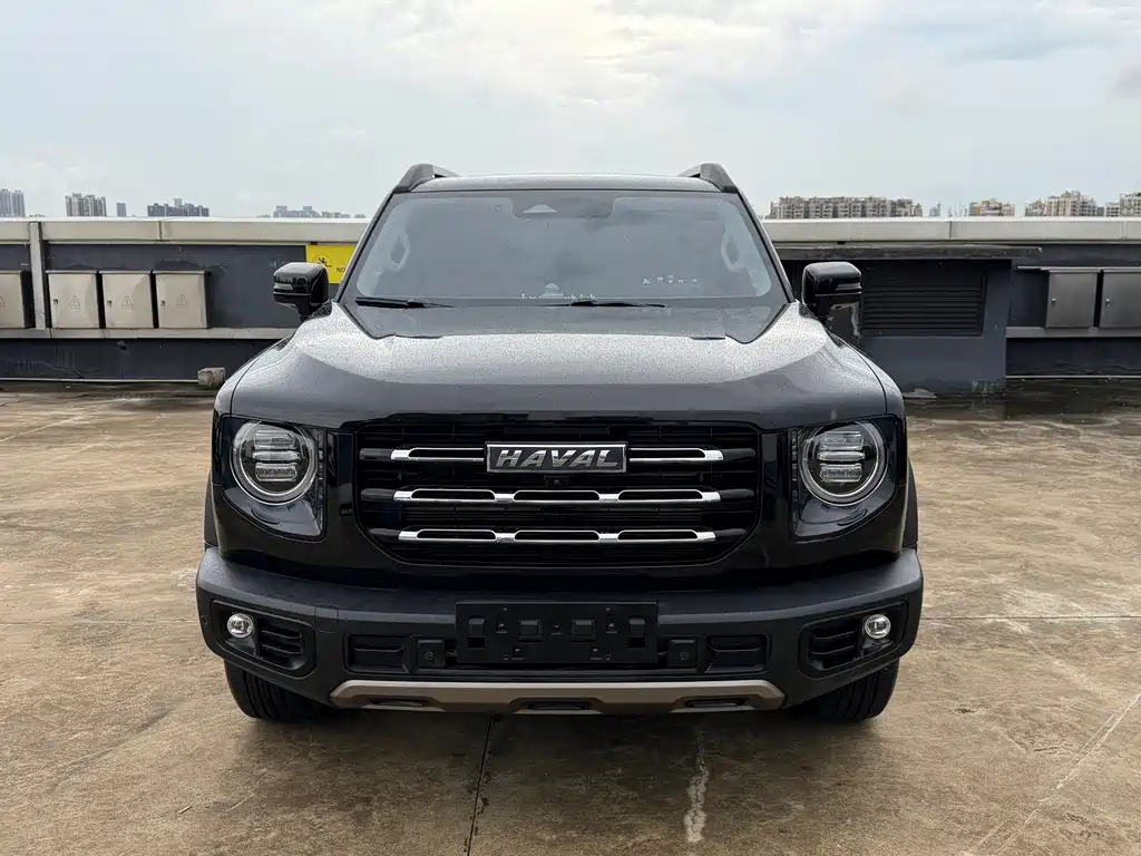Haval Big Dog — миниатюра 2