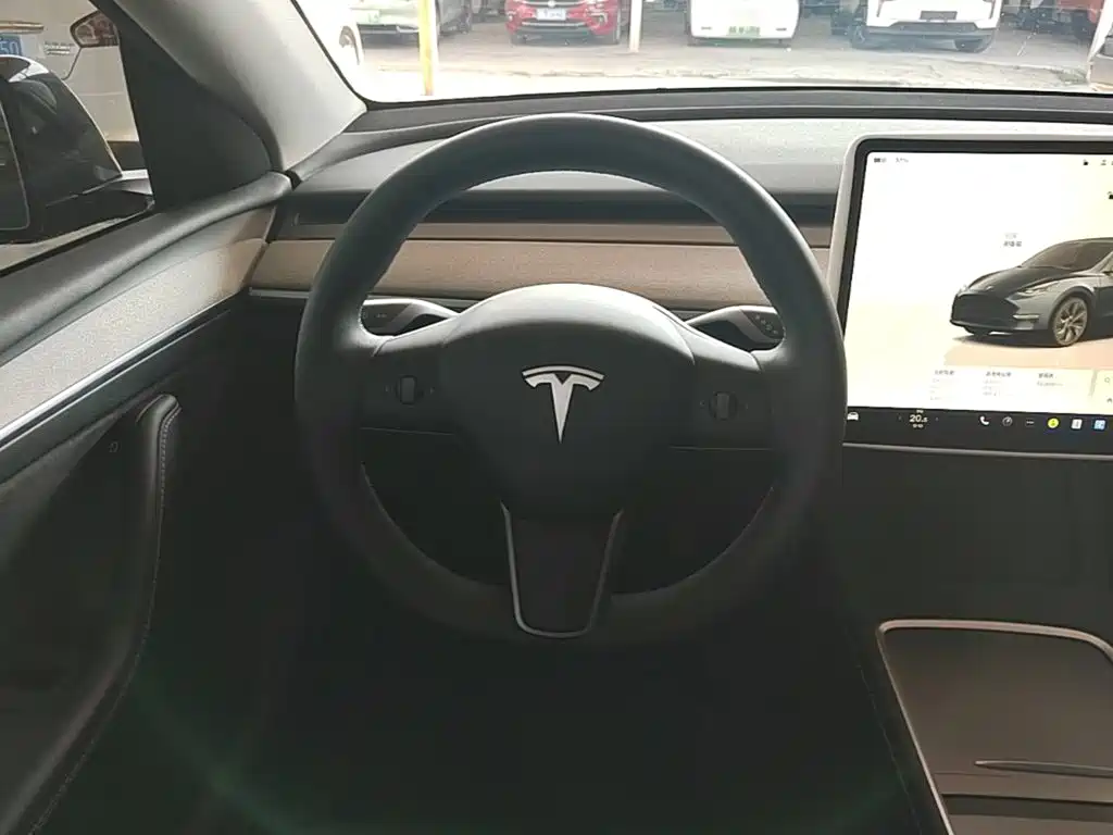 Tesla Model Y — миниатюра 11