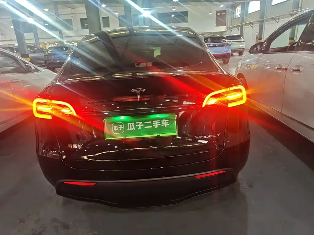 Tesla Model Y — миниатюра 6