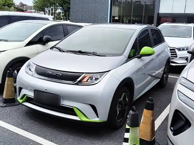 2022 BYD Dolphin