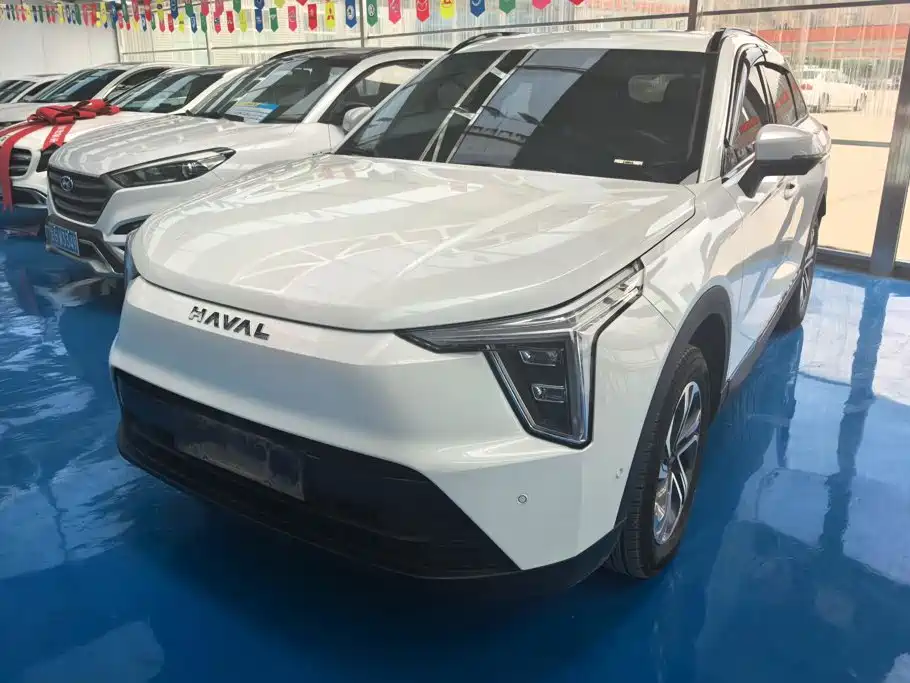 2024 Haval Xiaolong - zdjęcie 1 z 16