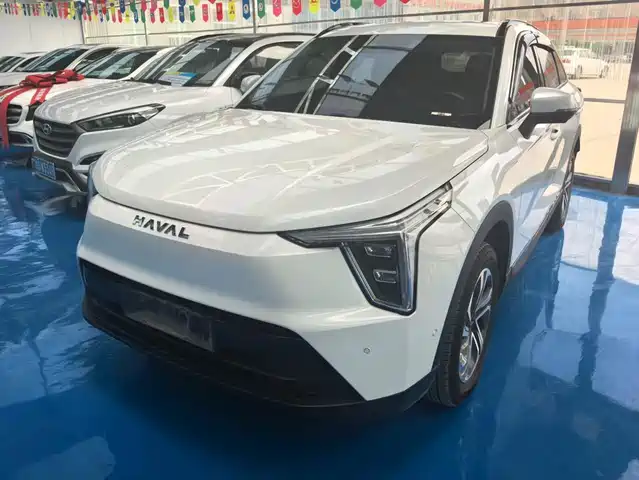 2024 Haval Xiaolong