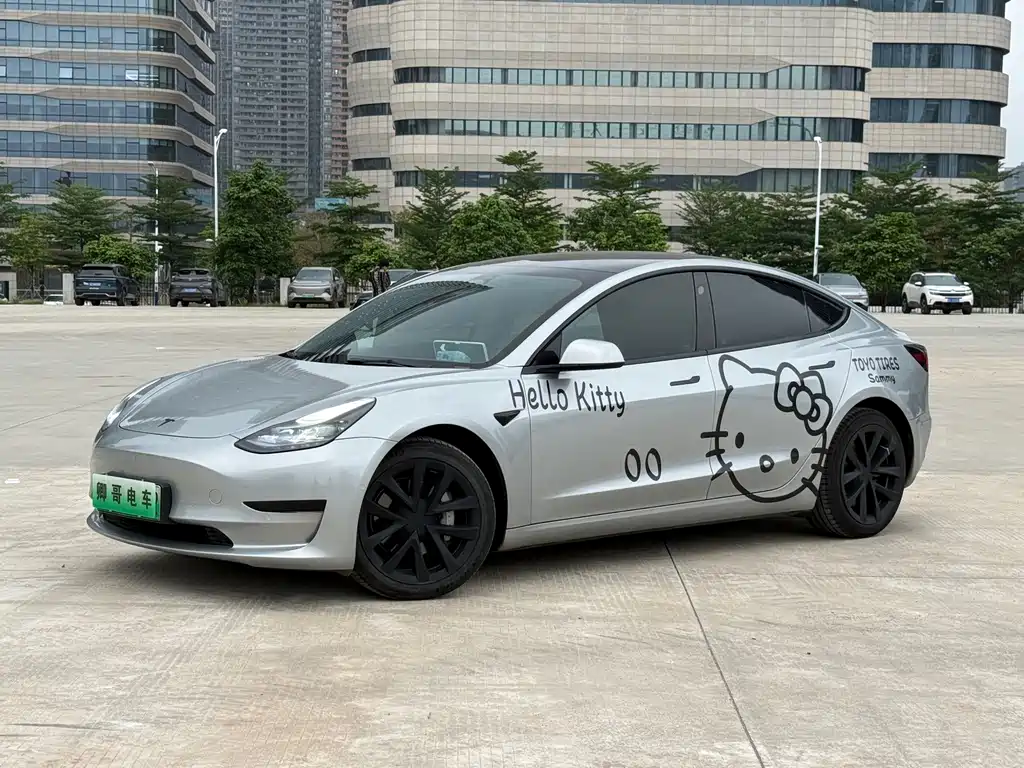 Tesla Model 3 2022