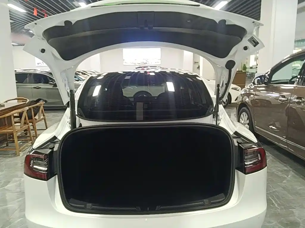 Tesla Model 3 — миниатюра 19