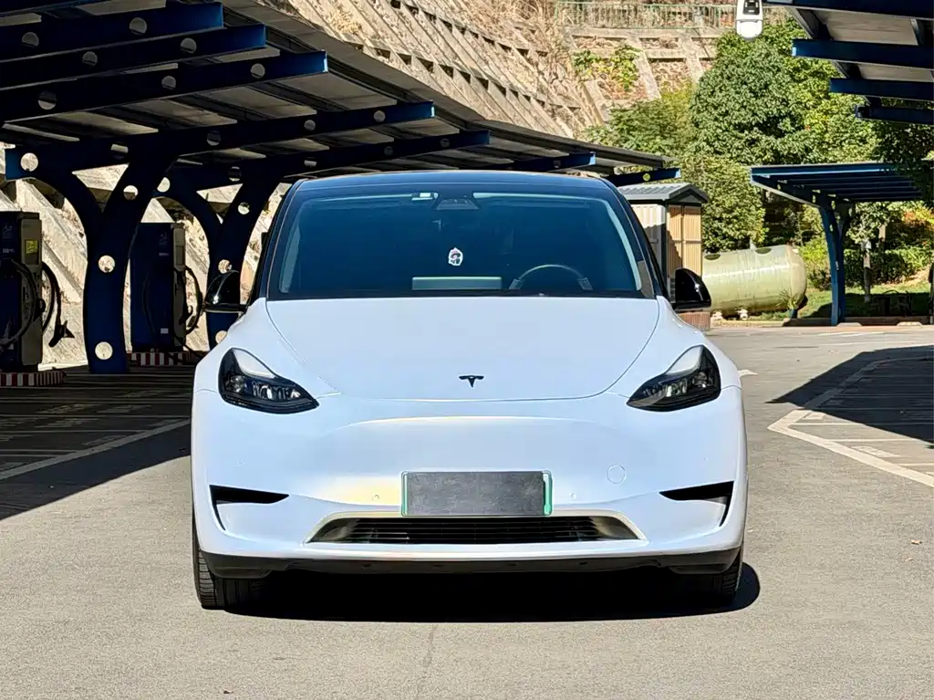 Tesla Model Y — миниатюра 2