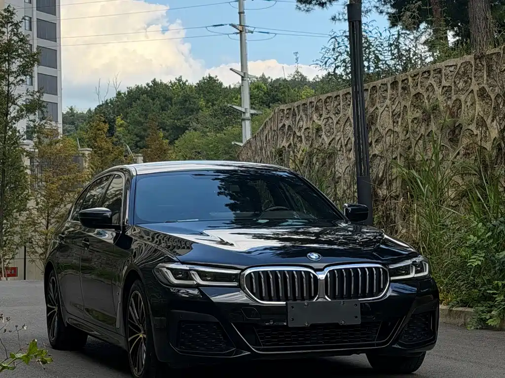 BMW 5 Series — миниатюра 3