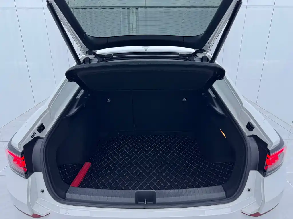 Volkswagen Lamando — миниатюра 16