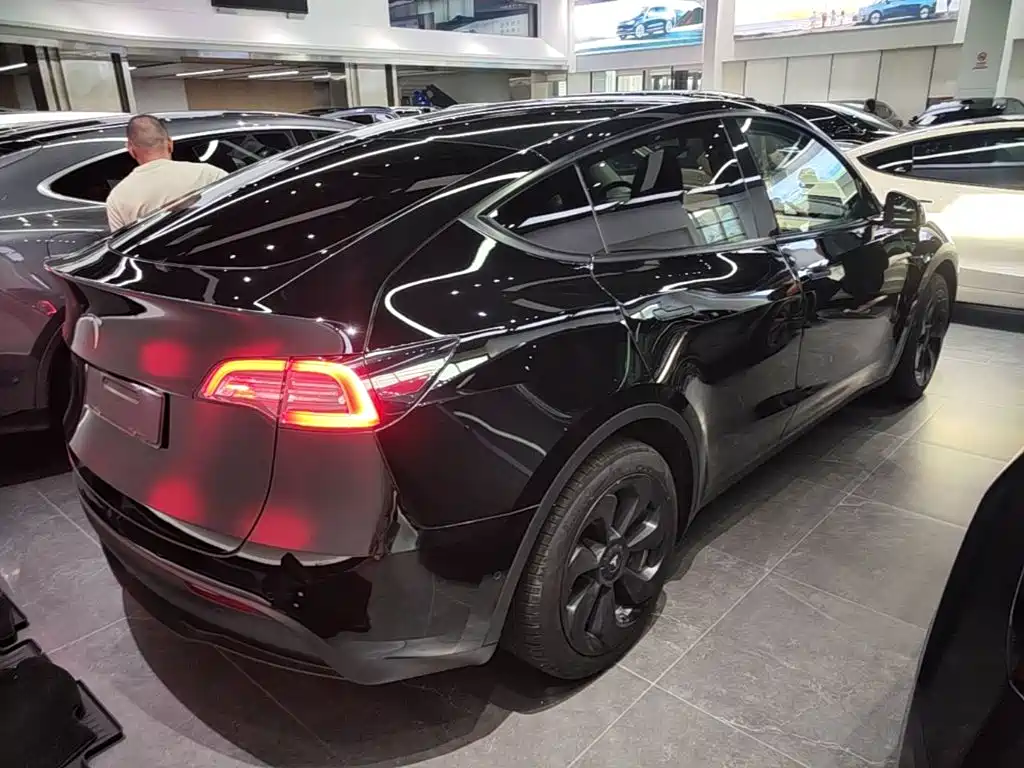Tesla Model Y — миниатюра 7