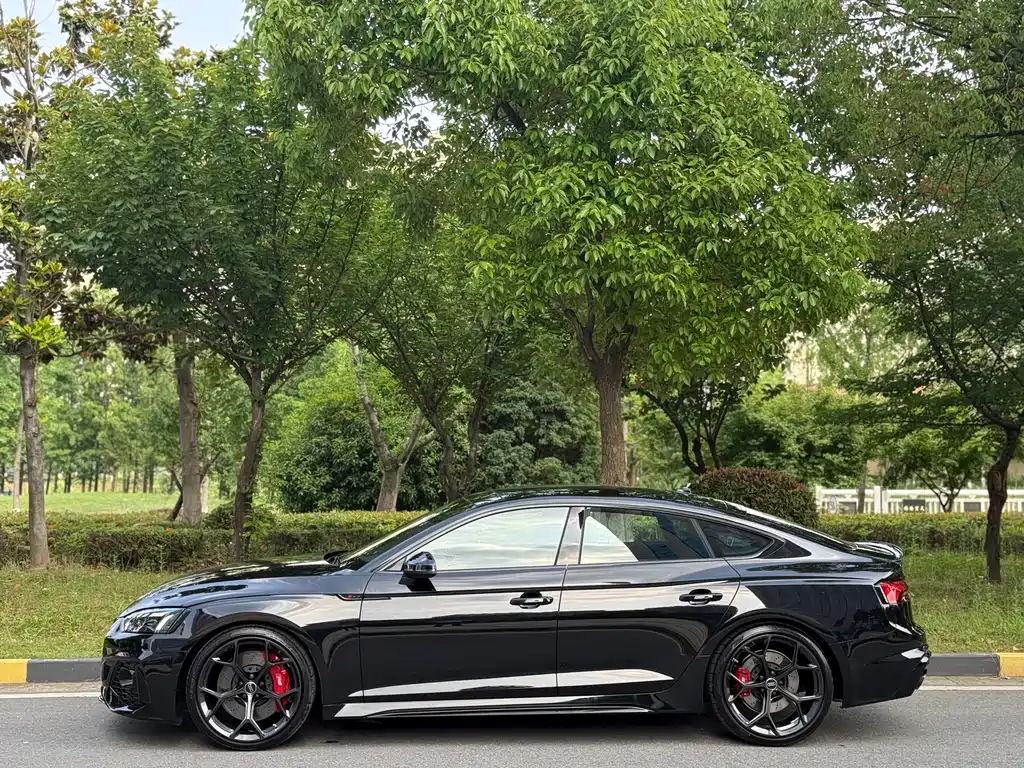 Audi RS 5 2024 RS 5 2.9T Sportback