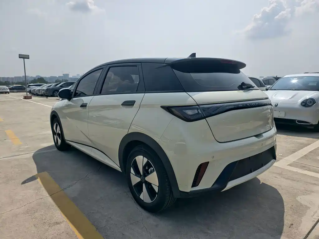 BYD Dolphin — миниатюра 5