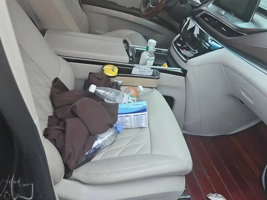 Buick GL8 — миниатюра 8