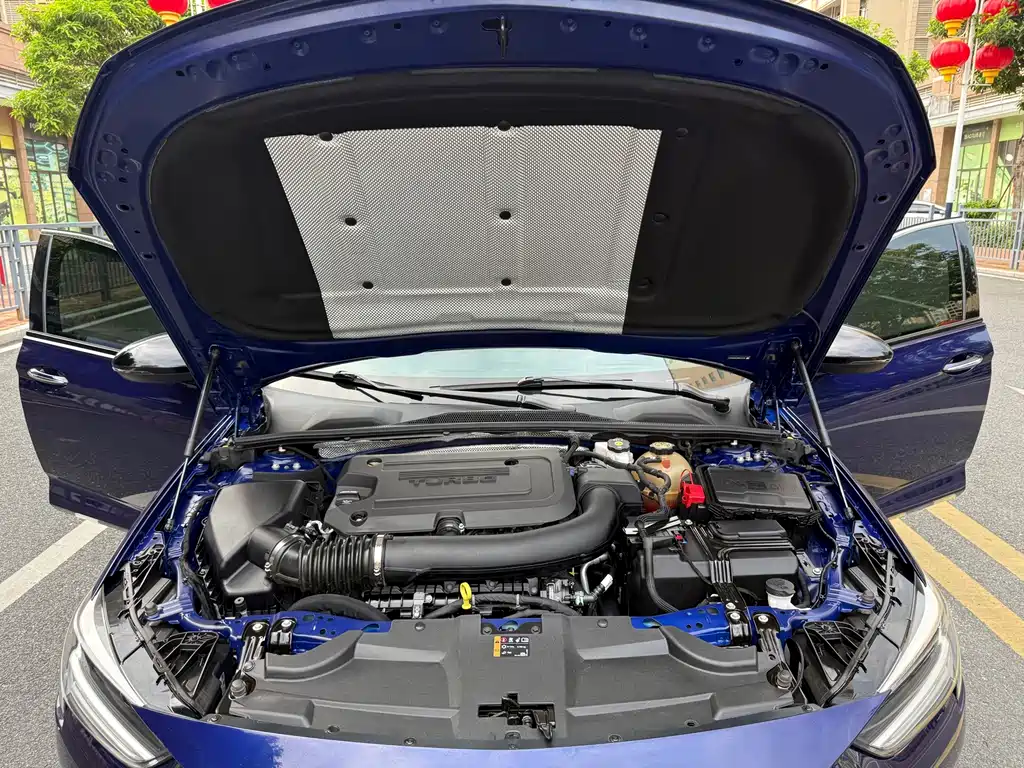 Buick Regal — миниатюра 19