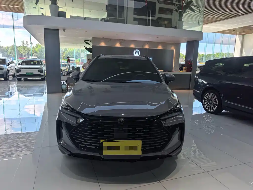 BYD Tang New Energy — миниатюра 2