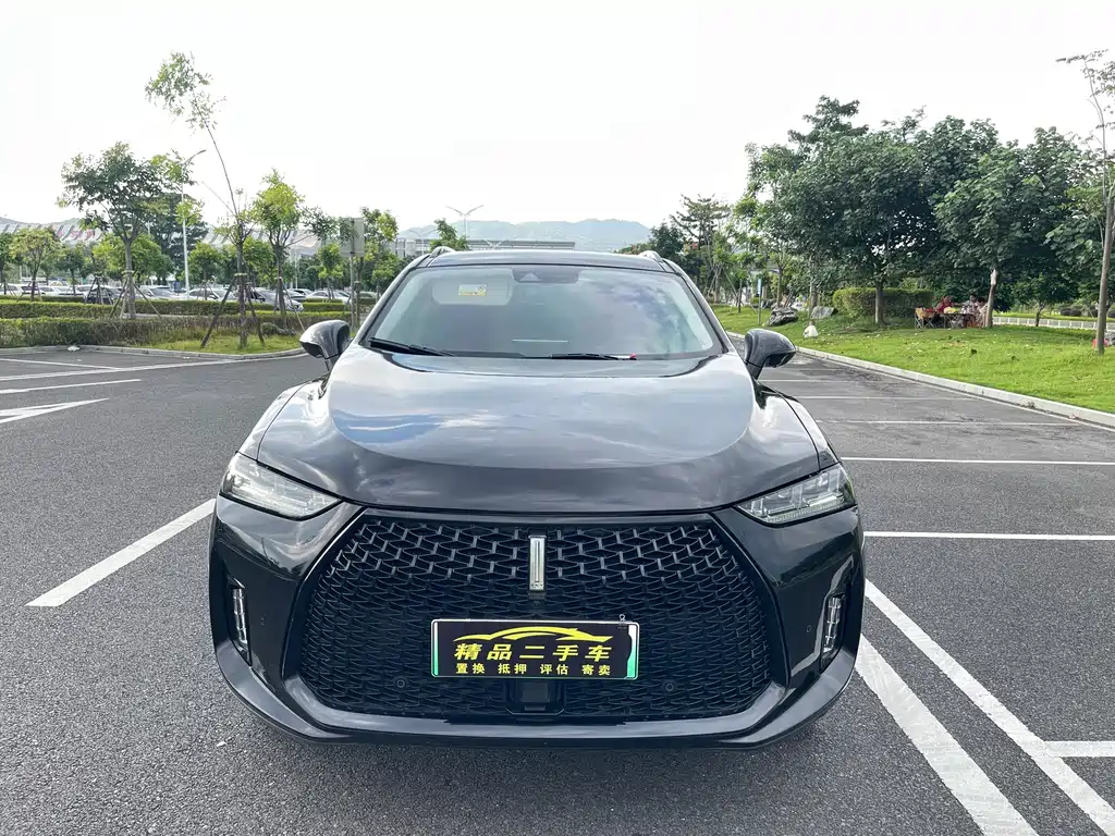 Wey Wey P8 — миниатюра 2