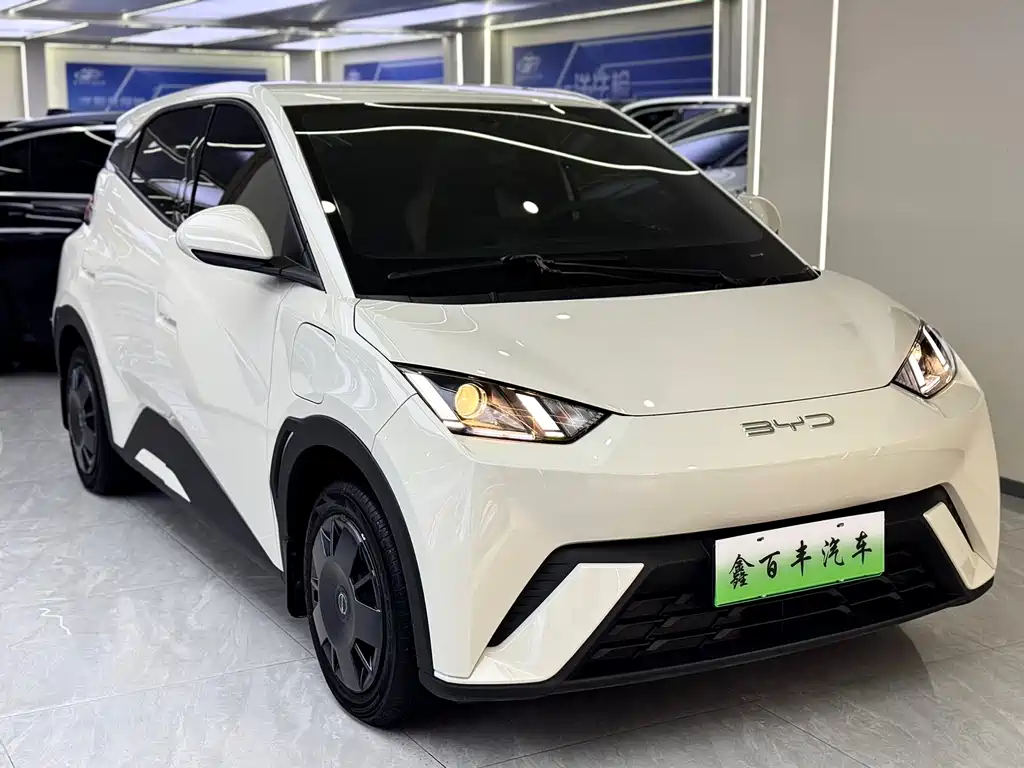 BYD Seagull