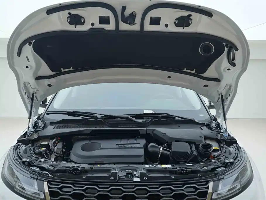 LAND ROVER RANGE ROVER AURORA NEW ENERGY