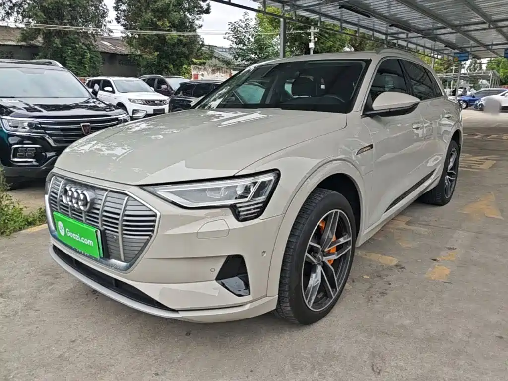 Audi e-tron (Import) — миниатюра 2